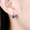 Crystal Butterfly S925 Sterling Silver Earrings