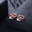 Crystal Element S925 Sterling Butterfly Earrings