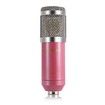 LEIHAO BM - 800 Professional Condenser Microphone