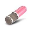 LEIHAO BM - 800 Professional Condenser Microphone