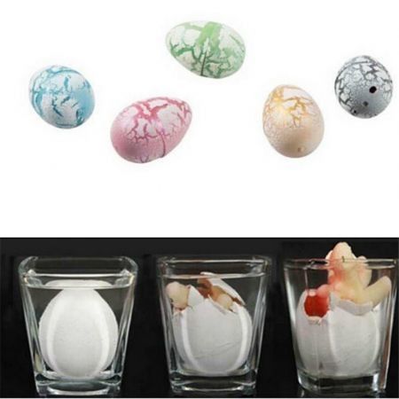 https://img.bestdeals.co.nz/products_pictures/293/29323_253862_F.jpg
