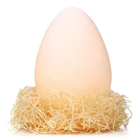https://img.bestdeals.co.nz/products_pictures/294/29460_255004_F.jpg