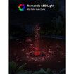 Solar Power Fountain with LED Lights