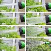75ft Garden Hose Flexible Expandable with Water Spray Nozzle for Easy Storage and Use