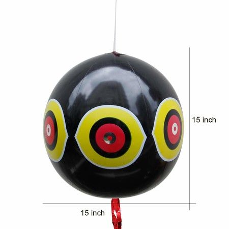 https://img.bestdeals.co.nz/products_pictures/297/29725_257051_F.jpg