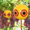 3 Reflective Bird Repellent Eyes Balloon to Keep Birds Away from Gardens and Crops