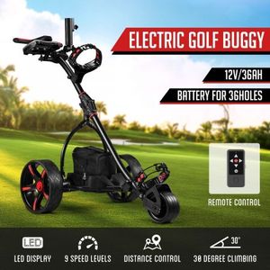 remote control golf buggy