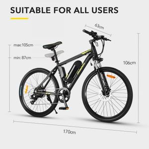 auswheel electric bike