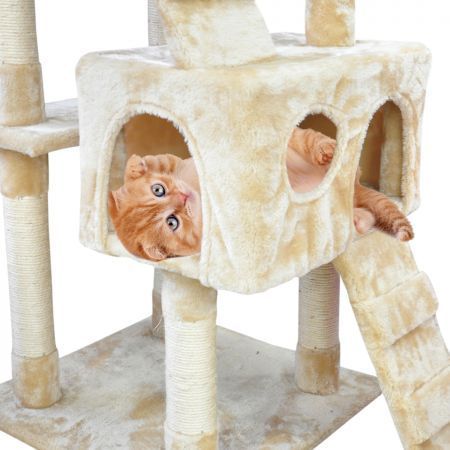https://img.bestdeals.co.nz/products_pictures/300/30013_258206_F.jpg