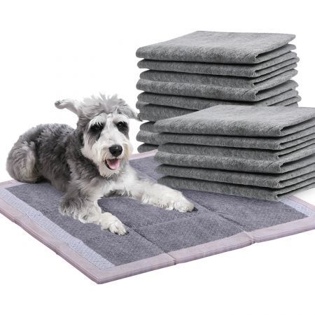 PaWz 100 Pcs 60x60cm Charcoal Pet Puppy Dog Toilet Training Pads Ultra Absorbent