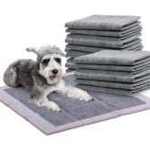 PaWz 100 Pcs 60x60cm Charcoal Pet Puppy Dog Toilet Training Pads Ultra Absorbent