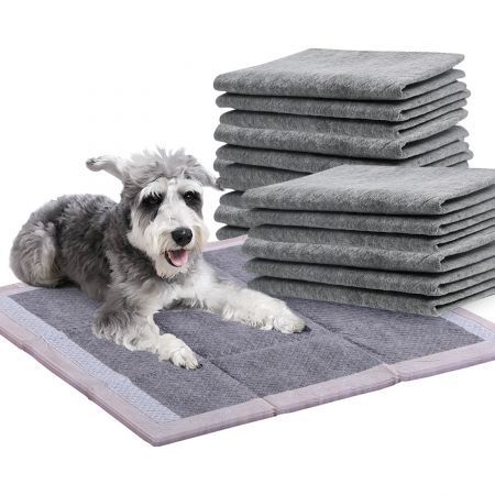 PaWz 50 Pcs 60x60cm Charcoal Pet Puppy Dog Toilet Training Pads Ultra Absorbent