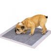 PaWz 50 Pcs 60x60cm Charcoal Pet Puppy Dog Toilet Training Pads Ultra Absorbent
