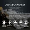 DreamZ 500GSM All Season Goose Down Feather Filling Duvet in King Size