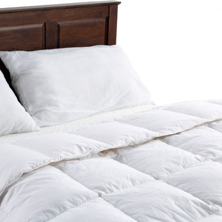 https://img.bestdeals.co.nz/products_pictures/302/30237_259081_F.jpg