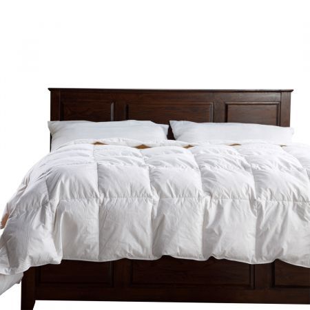 https://img.bestdeals.co.nz/products_pictures/302/30240_261221_F.jpg