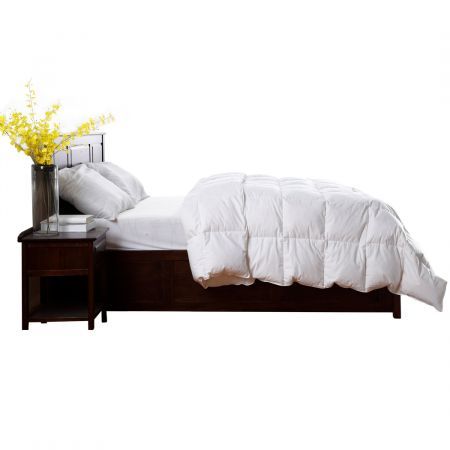 https://img.bestdeals.co.nz/products_pictures/302/30240_261224_F.jpg