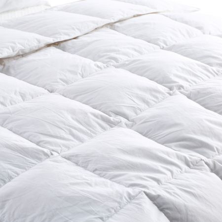 https://img.bestdeals.co.nz/products_pictures/302/30240_261225_F.jpg