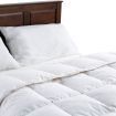 DreamZ 500GSM All Season Goose Down Feather Filling Duvet in Queen Size