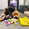 12 Matching Eggs Educational Color & Shape Recognition Sorter Puzzle Skills Study Toys