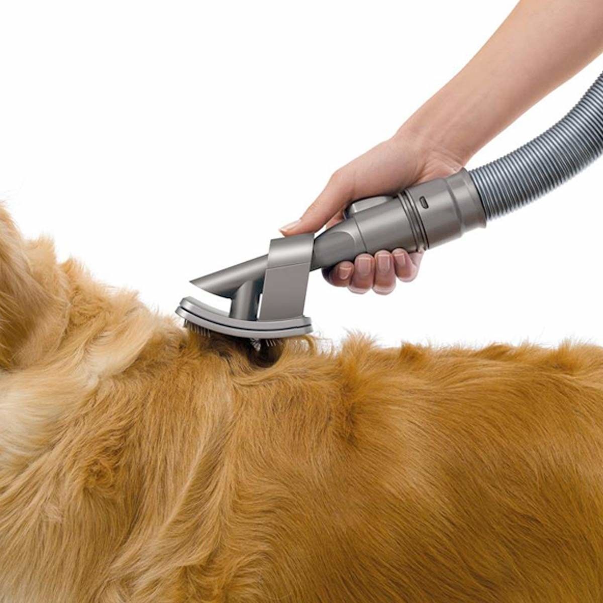 https://img.bestdeals.co.nz/products_pictures/308/30865_262653_F.jpg