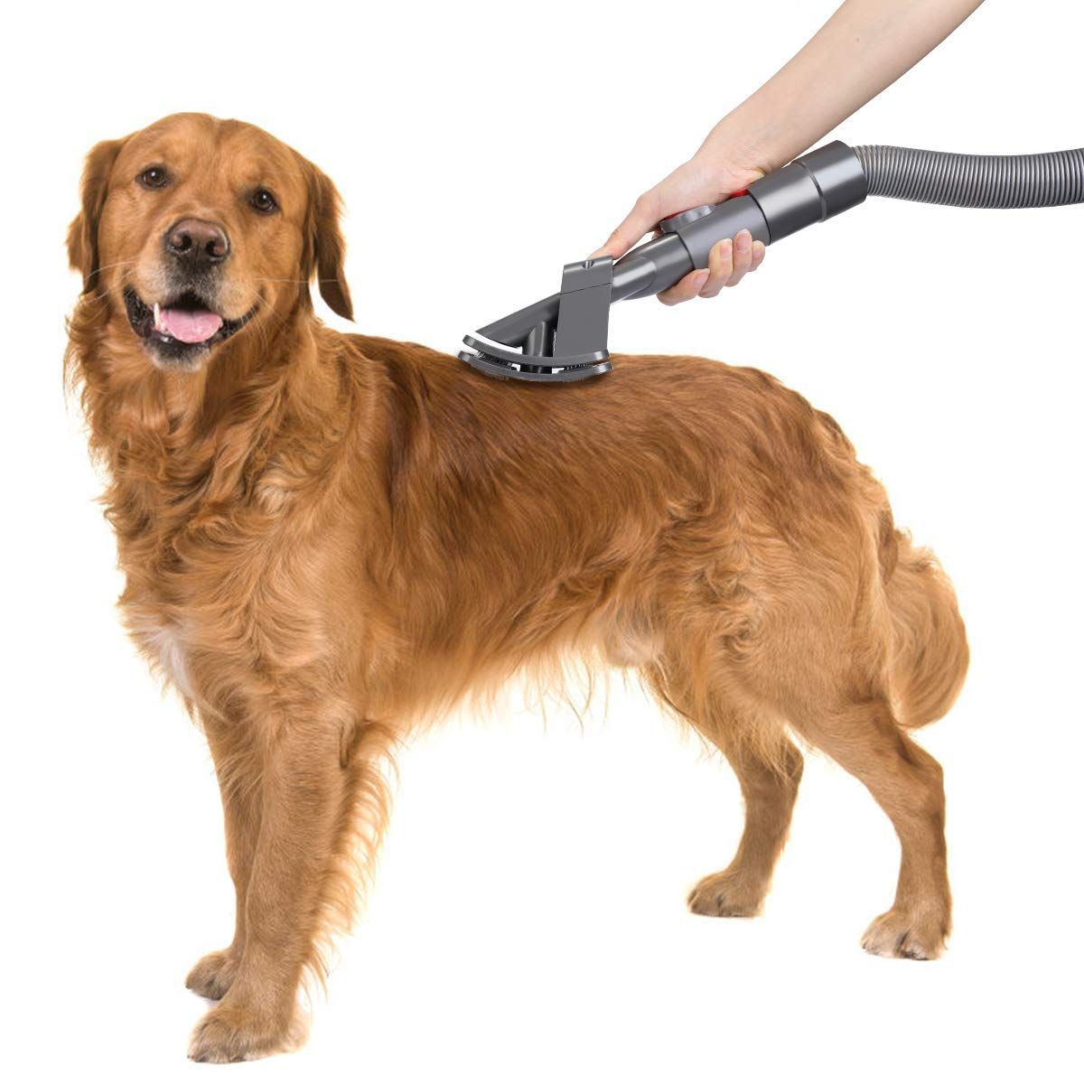 https://img.bestdeals.co.nz/products_pictures/308/30865_262791_F.jpg