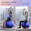 Exercise Ball (65cm) Extra Thick Yoga Ball Chair