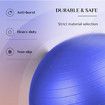 Exercise Ball (65cm) Extra Thick Yoga Ball Chair