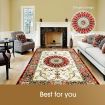Royal Red Rugs Carpet Floor Rug Traditional Persian Soft Mat 200 X 230CM