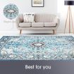 Navy Blue Rug Soft Carpet Floor Rug Allover Traditional Persian Mat 200 X 230CM