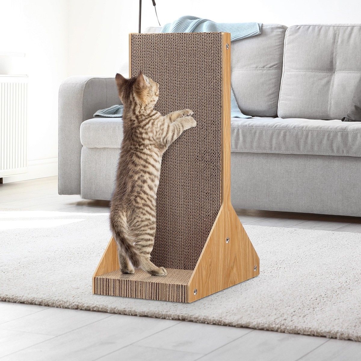 https://img.bestdeals.co.nz/products_pictures/323/32314_273058_F.jpg