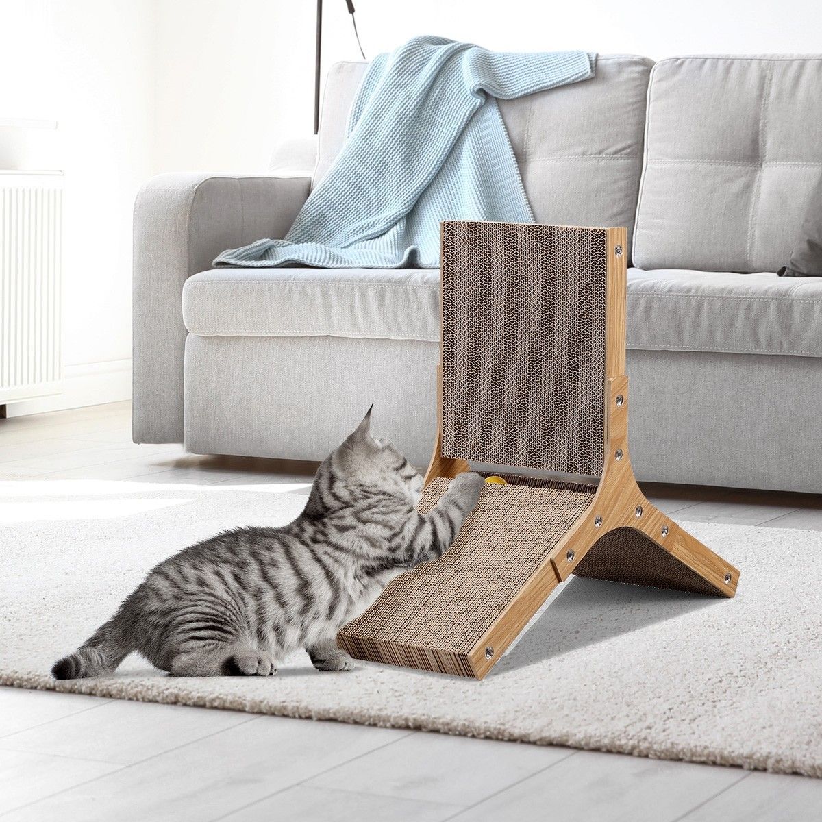 https://img.bestdeals.co.nz/products_pictures/323/32315_273068_F.jpg