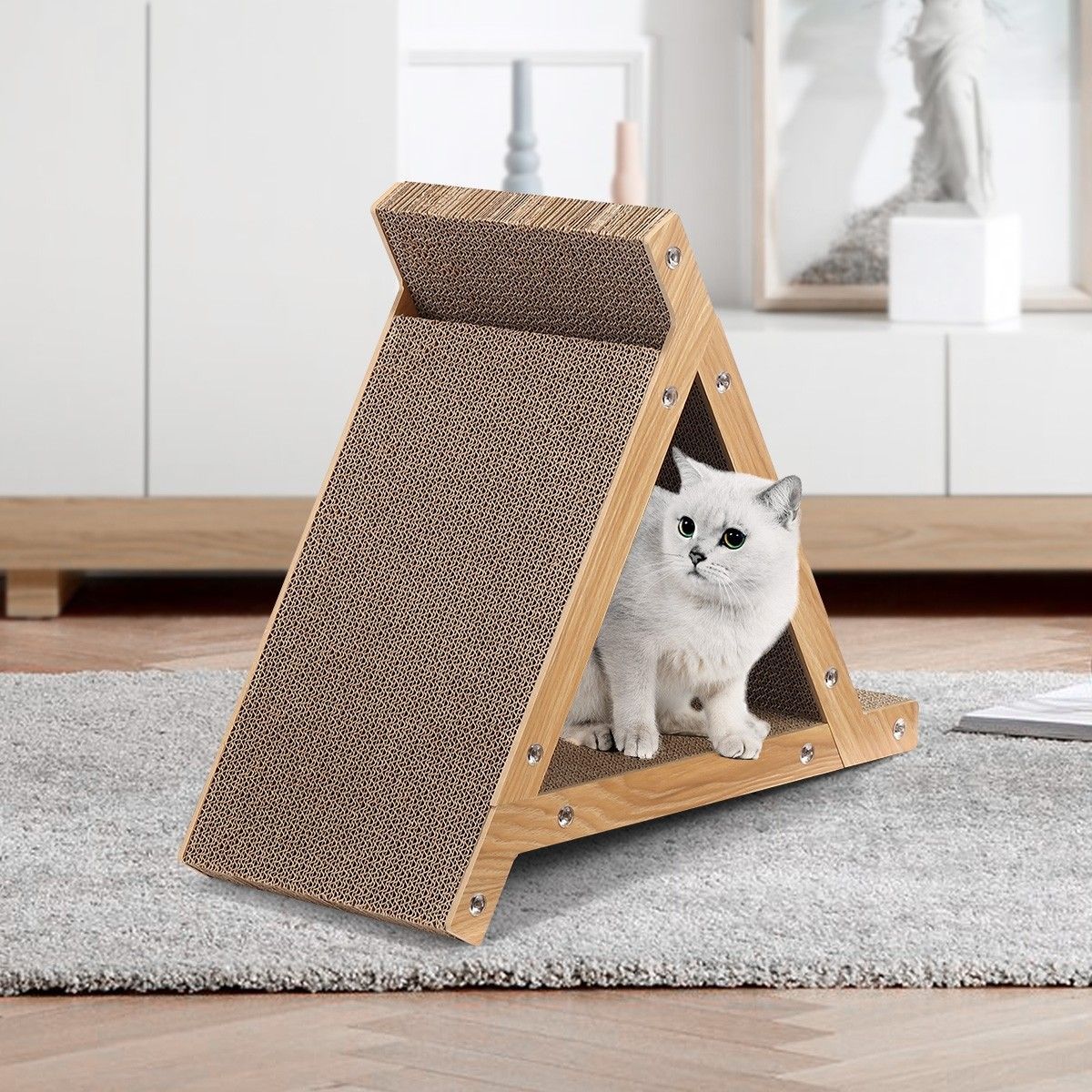 https://img.bestdeals.co.nz/products_pictures/323/32316_273079_F.jpg