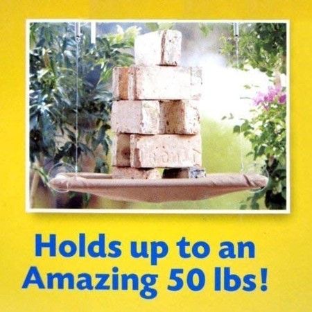 https://img.bestdeals.co.nz/products_pictures/323/32364_273550_F.jpg