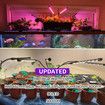 Grow Light for Indoor Plants - Upgraded Version 80 LED Lamps with Full Spectrum & Red Blue Spectrum, Timer, 10 Dimmable Level, Adjustable Gooseneck