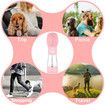 Dog Water Bottle Portable Pet Water Bottle Leak Proof Dog Water Dispenser and Food, Lightweight Dog Travel Water Bottle Bowl for Walking and Trave