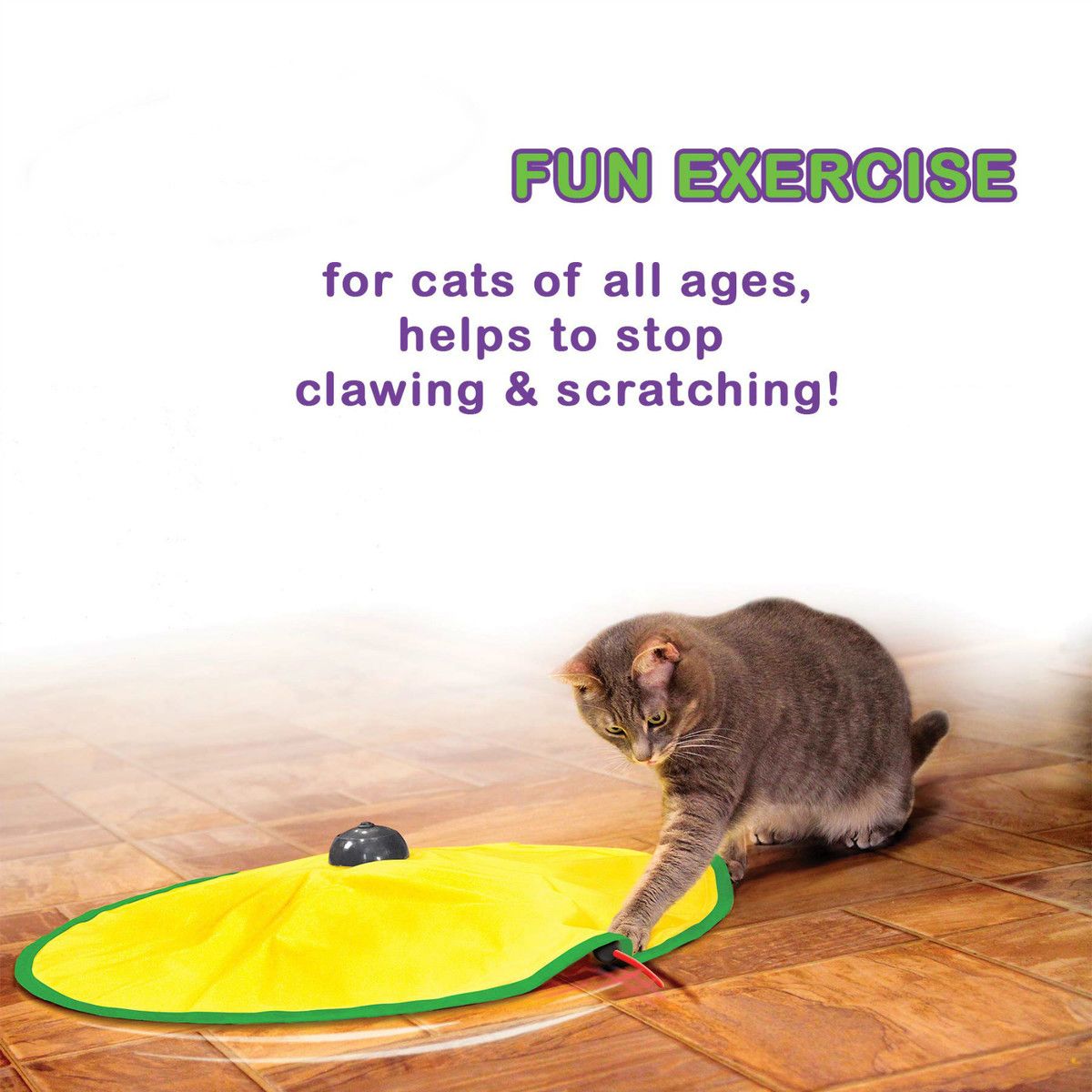 Motorized Wand Cat Toy, 4 Speed Settings, The Toy Your Cat Can't Resist