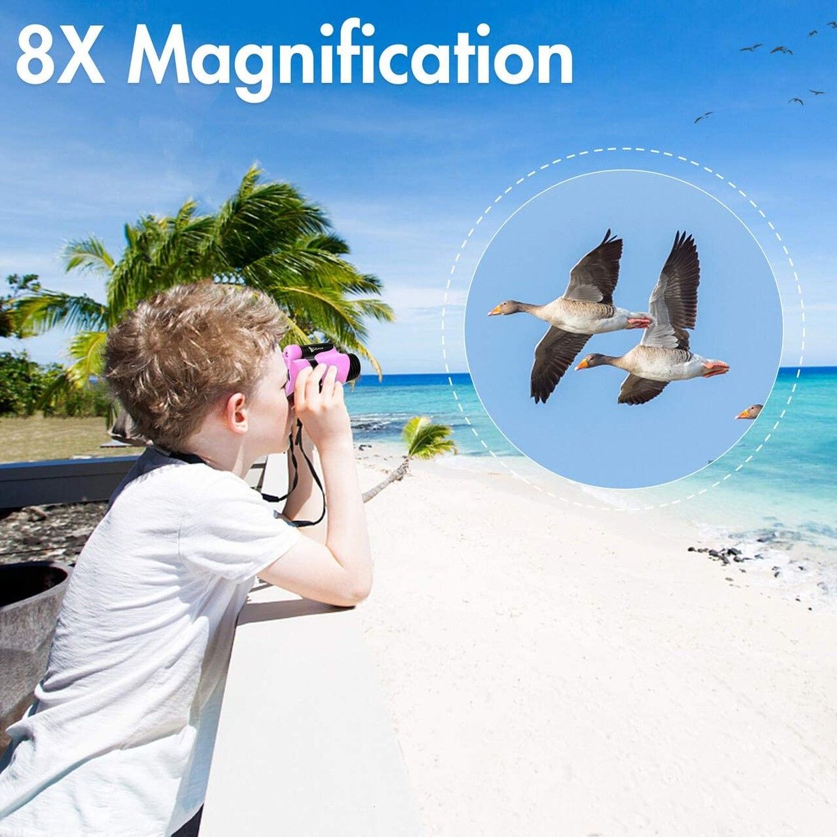 https://img.bestdeals.co.nz/products_pictures/324/32433_274251_F.jpg