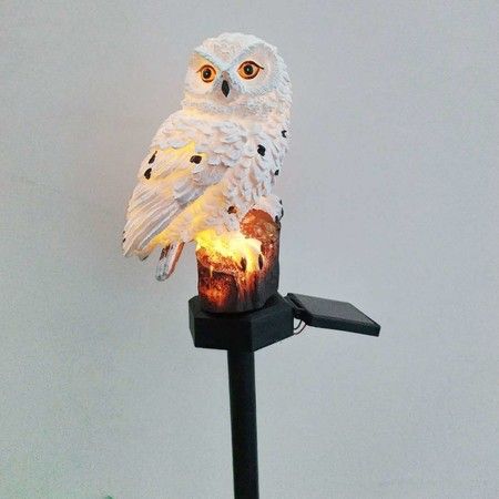 https://img.bestdeals.co.nz/products_pictures/324/32461_274467_F.jpg