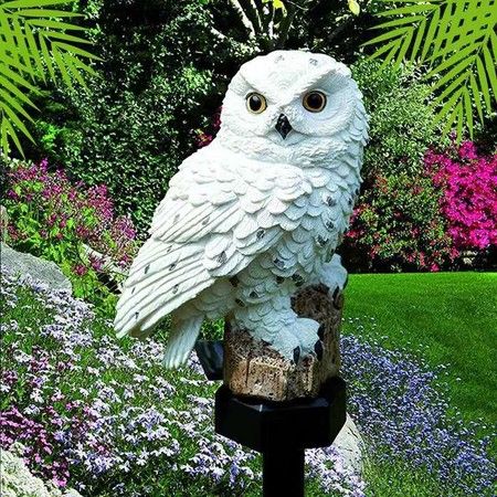 https://img.bestdeals.co.nz/products_pictures/324/32461_274469_F.jpg