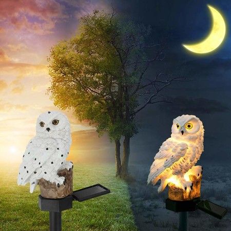 https://img.bestdeals.co.nz/products_pictures/324/32461_274470_F.jpg