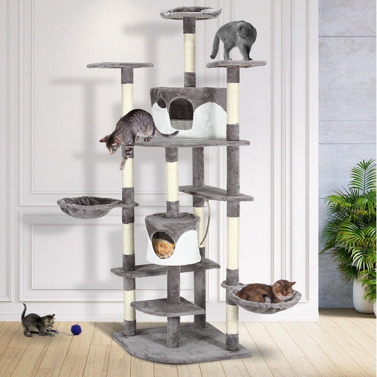 https://img.bestdeals.co.nz/products_pictures/324/32482_274718_F.jpg