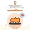 Cat Scratching Post Climbing Tree Tower Scratcher Pole Soft Perch Play House Exercise Gym 130cm Medium Tall