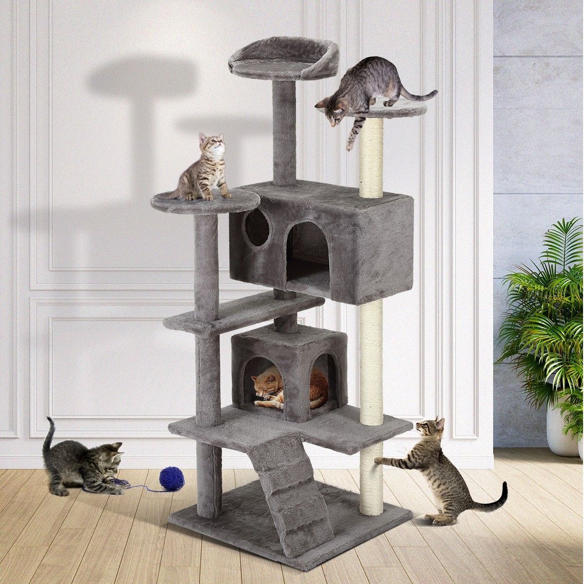 https://img.bestdeals.co.nz/products_pictures/324/32483_274731_F.jpg