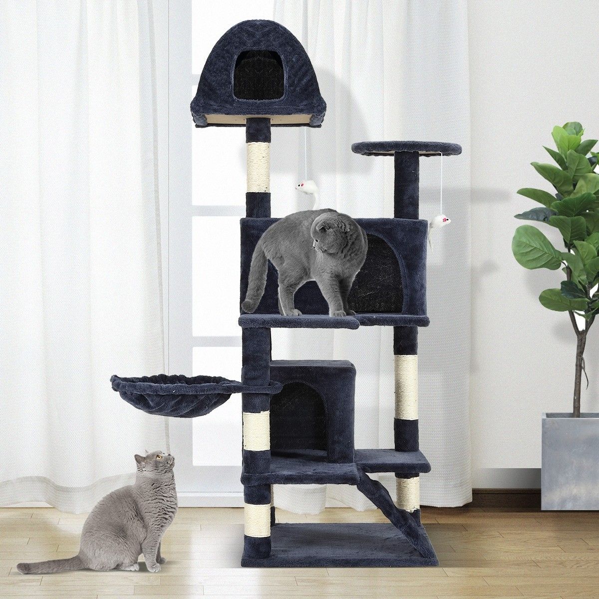 https://img.bestdeals.co.nz/products_pictures/324/32484_274744_F.jpg