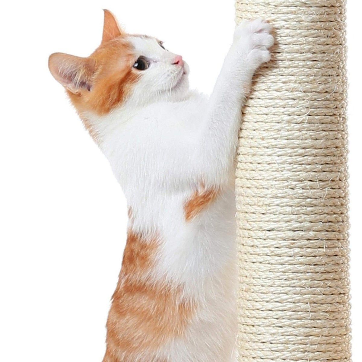 https://img.bestdeals.co.nz/products_pictures/324/32484_274747_F.jpg