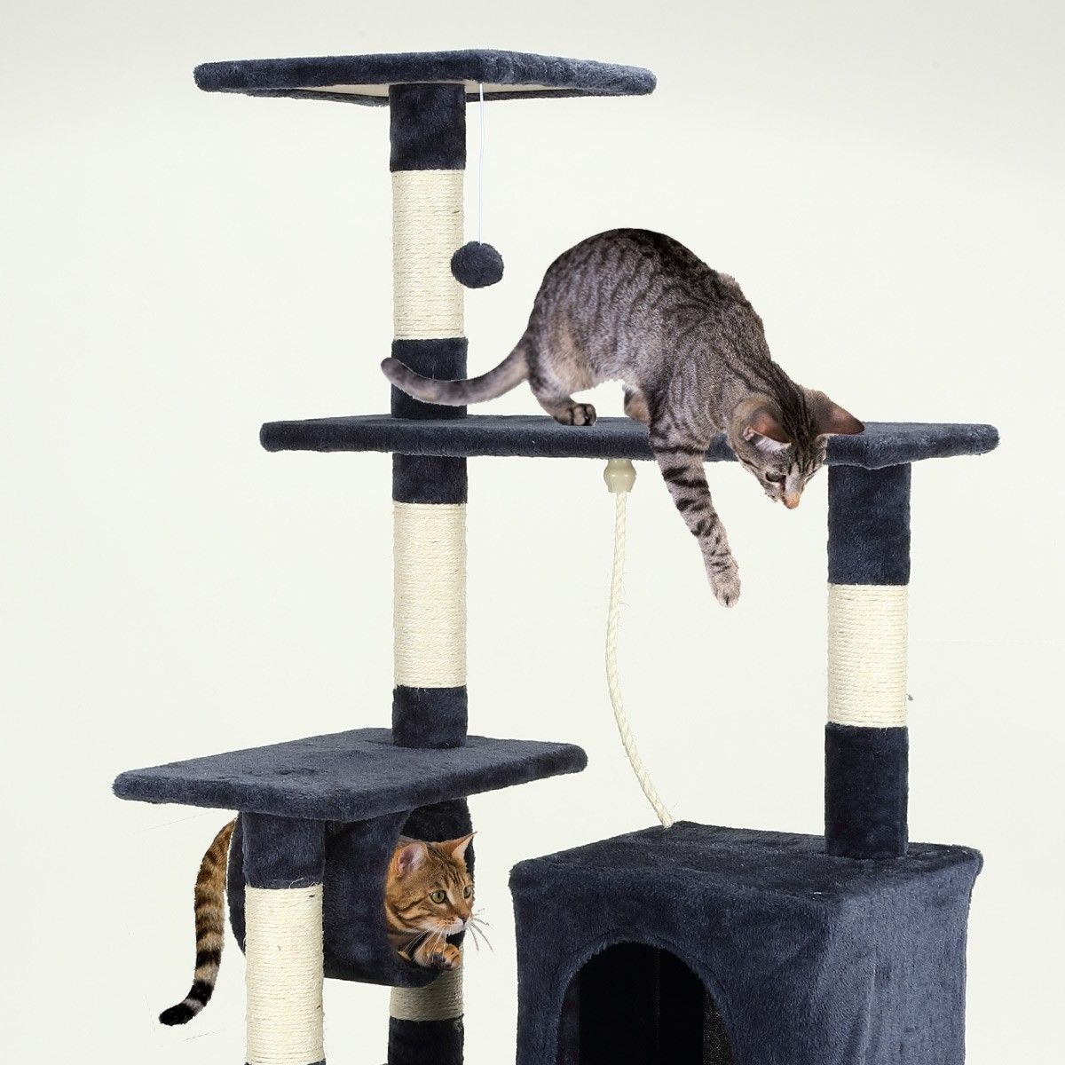 https://img.bestdeals.co.nz/products_pictures/324/32485_274756_F.jpg