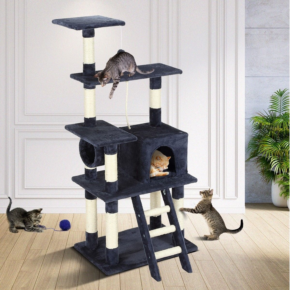 https://img.bestdeals.co.nz/products_pictures/324/32485_274758_F.jpg