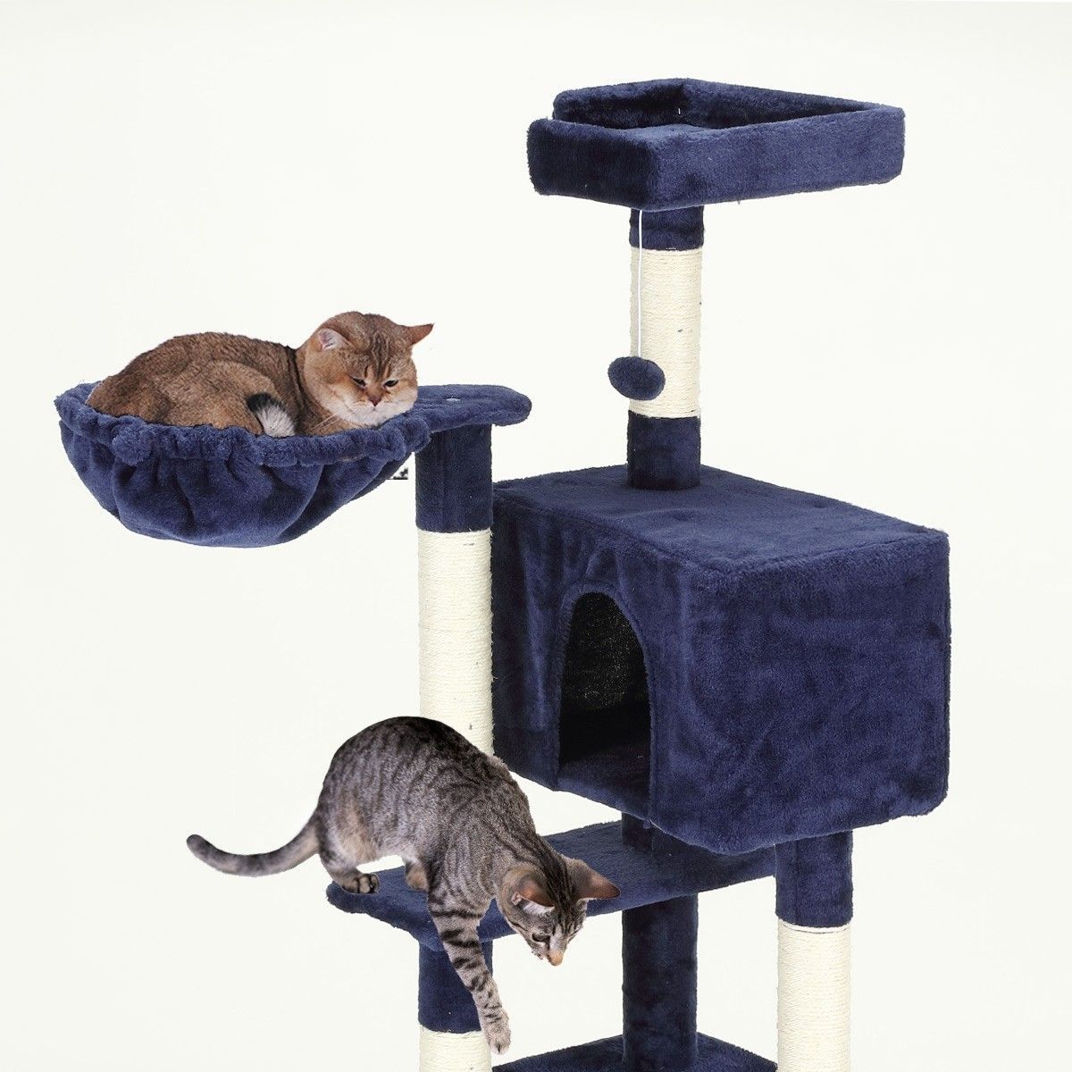 https://img.bestdeals.co.nz/products_pictures/324/32486_274769_F.jpg