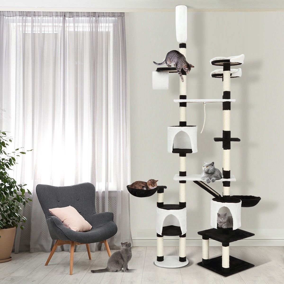 https://img.bestdeals.co.nz/products_pictures/324/32487_274786_F.jpg
